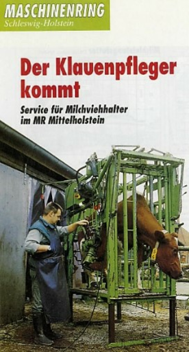 MR Mittelholstein Zeitung